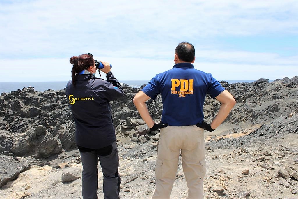PDI ATACAMA DETIENE A DOS PERSONAS POR EXTRACCIÓN DE 490 KILOS DE HUIRO NEGRO