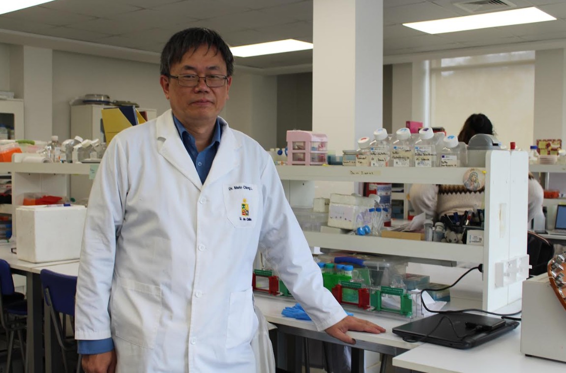 Hipertensión arterial e insuficiencia cardíaca: enfermedades silenciosas que afectan a millones de personas en el mundo y en Chile