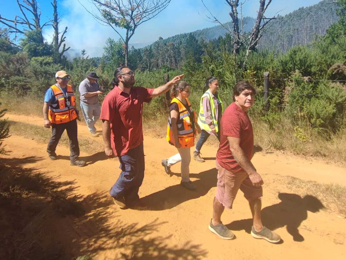 Alcaldesa Amtmann destacó contención de incendio forestal en sectores de Valdivia sin viviendas afectadas
