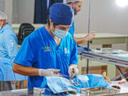 CONCEJO MUNICIPAL DE IQUIQUE APRUEBA PLAN COMUNAL DE ESTERILIZACIÓN DE MASCOTAS