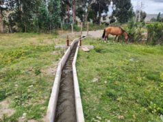 Pequeños agricultores de Canela mejoran el riego de sus cultivos con nuevas obras de revestimiento bonificada por la Ley de