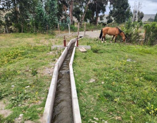 Pequeños agricultores de Canela mejoran el riego de sus cultivos con nuevas obras de revestimiento bonificada por la Ley de
