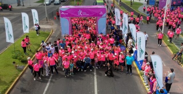 WhatsApp Image 2025-11-04 at 11.43.49