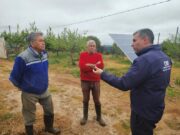 CNR impulsa mejoras en riego para fortalecer a la pequeña agricultura en Coquimbo