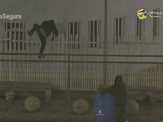 Monitoreo municipal permite detener a dos sujetos por robo a Club de Adulto Mayor en Alto Hospicio