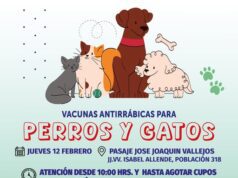 Municipalidad de Alto Hospicio realizará operativo de vacunación antirrábica