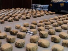PDI ATACAMA INCAUTÓ 617 KILOS DE SUSTANCIAS ILÍCITAS