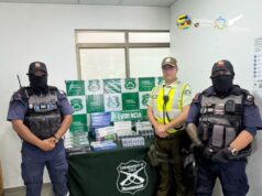 Golpe al contrabando deja decomiso de más de 500 cajetillas de cigarrillos en Alto Hospicio