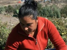 Postulación hasta el 21 de abril: CNR dispone de $2.600 millones para concurso exclusivo para mujeres de Atacama y Coquimbo