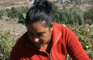 Postulación hasta el 21 de abril: CNR dispone de $2.600 millones para concurso exclusivo para mujeres de Atacama y Coquimbo