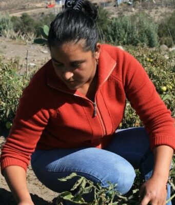 Postulación hasta el 21 de abril: CNR dispone de $2.600 millones para concurso exclusivo para mujeres de Atacama y Coquimbo