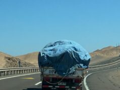 Sorprenden a conductor y camión sin documentos ingresando a sitio eriazo para descargar basura