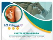 Salud municipal mantiene puntos de vacunación contra influenza, COVID-19 y Neumo 23 en Alto Hospicio