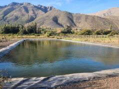Más de $9.600 millones para obras de riego: CNR abre concurso para organizaciones de usuarios de agua de Atacama y Coquimbo