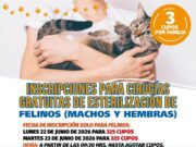 Continúan abiertas las inscripciones para 1.450 esterilizaciones gratuitas de mascotas