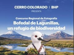 Cerro Colorado | BHP lanza Concurso de Fotografía con grandes premios