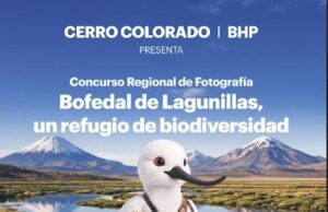 Cerro Colorado | BHP lanza Concurso de Fotografía con grandes premios