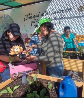 Ministerio del Medio Ambiente abre postulaciones del Fondo de Protección Ambiental 2027