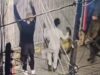 En prisión preventiva quedó imputado que golpeó y asaltó a víctima en centro de Iquique