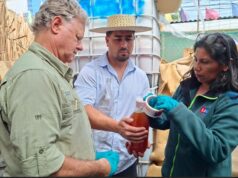 SAG fiscaliza producción de chicha previo a las Fiestas Patrias para resguardar la aptitud de consumo