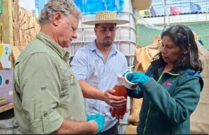 SAG fiscaliza producción de chicha previo a las Fiestas Patrias para resguardar la aptitud de consumo