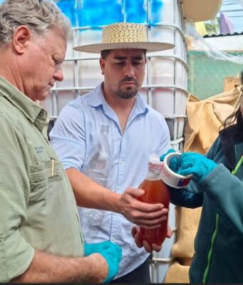 SAG fiscaliza producción de chicha previo a las Fiestas Patrias para resguardar la aptitud de consumo