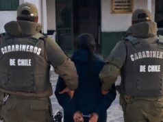 Detienen a mujer por abigeato en Colchane