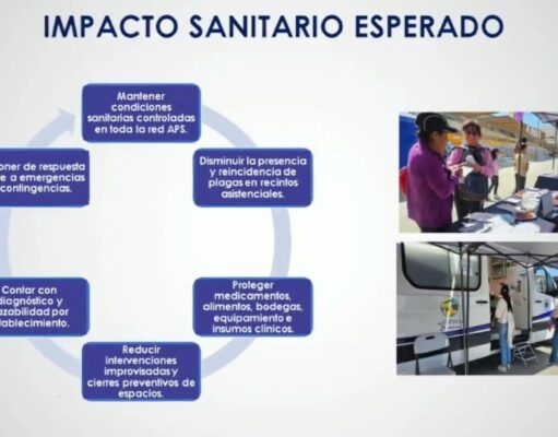 Alto Hospicio aprueba suministro integral para el control de plagas y sanitización ambiental