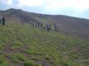 Vecinos de Alto Hospicio conocieron la biodiversidad del desierto florido en Cerro Aldea