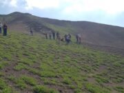 Vecinos de Alto Hospicio conocieron la biodiversidad del desierto florido en Cerro Aldea