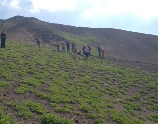 Vecinos de Alto Hospicio conocieron la biodiversidad del desierto florido en Cerro Aldea
